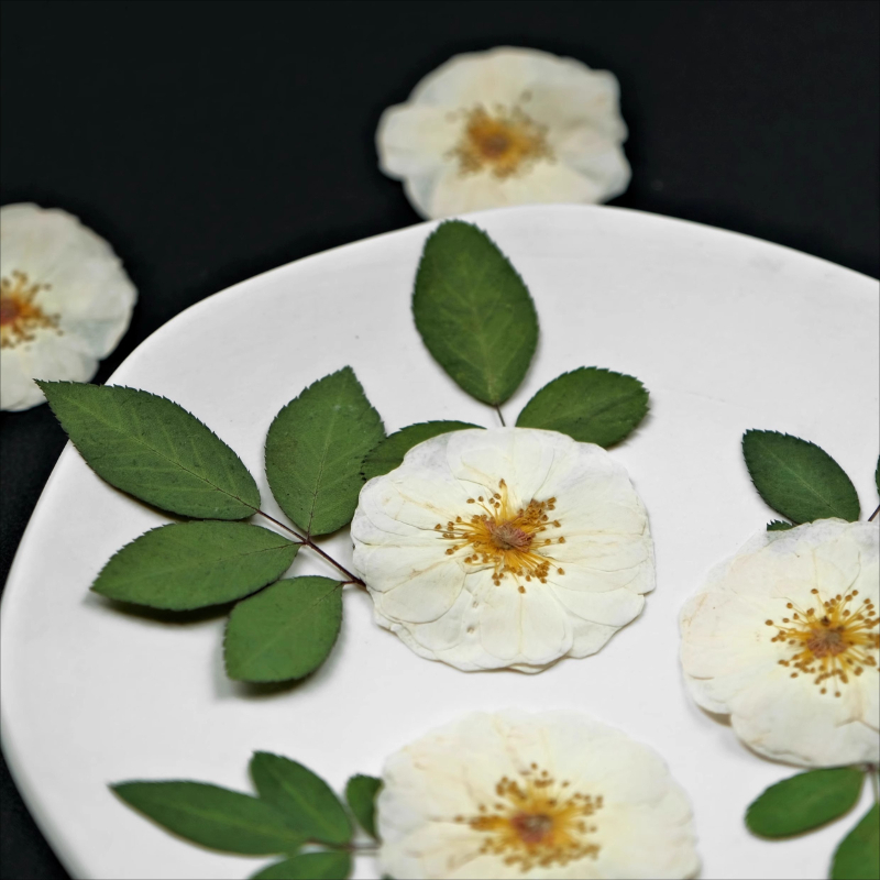 6pcs,9pcs,Nature White Rose Pr - Resin Art Things recension och pris