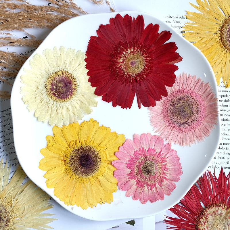 1pcs/7-9cm,Pressed Gerbera Dri - Resin Art Things recension och pris